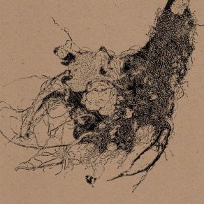 The Root album cover