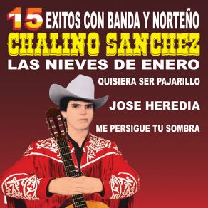 15 Éxitos Con Banda Y Norteño album cover