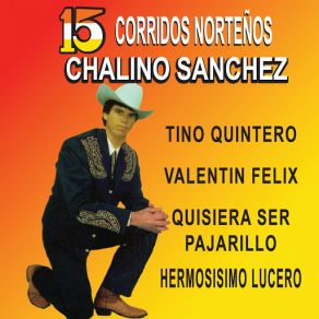 15 Corridos Norteños album cover