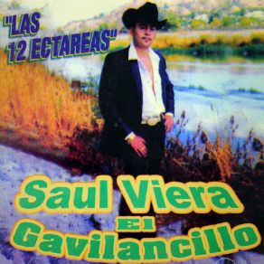 Las 12 Hectarias album cover