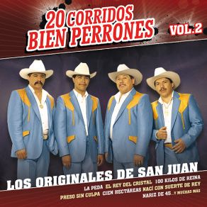 20 Corridos Bien Perrones (Vol. 2) album cover