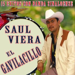 15 Exitos Con Banda Sinaloense album cover