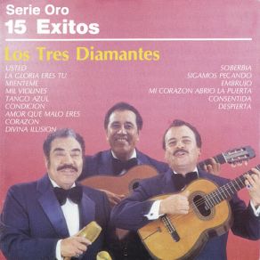 Serie Oro 15 Éxitos album cover