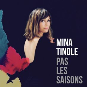 Pas Les Saisons (Skydancers Remix) (Single) album cover