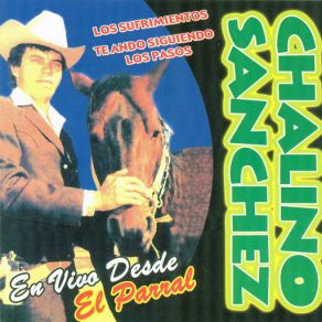 En Vivo Desde El Parral album cover