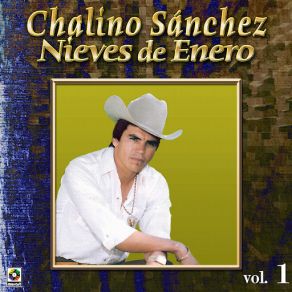 Nieves De Enero album cover