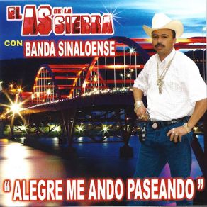 Alegre Me Ando Paseando album cover