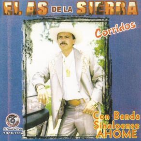 Corridos Con La Banda Sinaloense AHOME album cover