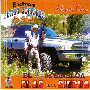Puros Corridos De Pelicula album cover