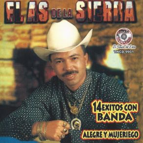 14 Exitos Con Banda Alegre Y Mujeriego album cover