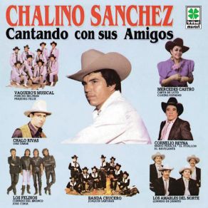 Cantando Con Sus Amigos album cover