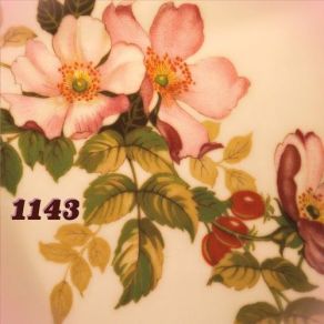 1143 album cover