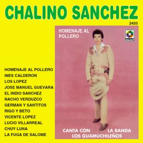 Homenaje Al Pollero album cover