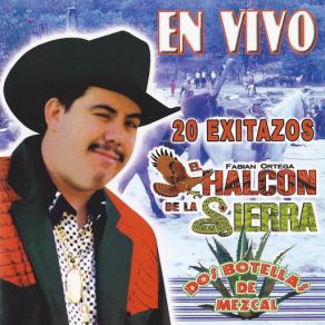 En Vivo 20 Exitazos Vol. 5 album cover