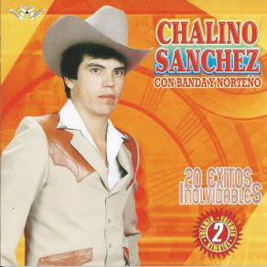 20 Exitos Inolvidables Banda Y Norteno album cover