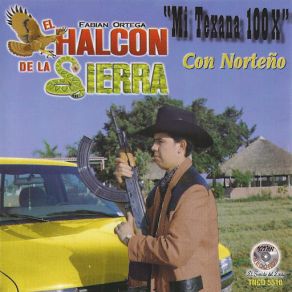 Mi Texana 100X album cover