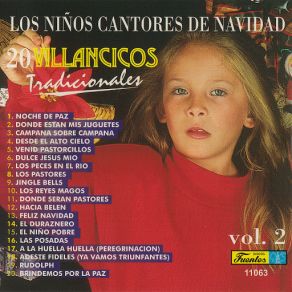 20 Villancicos Tradicionales, Vol. 2 album cover
