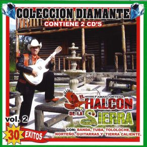 30 Exitos Vol. 2 album cover