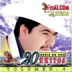 20 Exitos Vol. 4 album cover