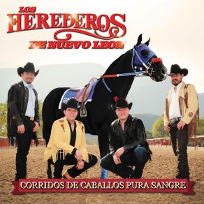 Corridos De Caballos Pura Sangre album cover