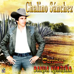Corridos Con Banda Norteña album cover