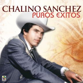 Puros Exitos album cover