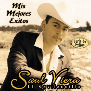 Mis Mejores Exitos - Serie De Exitos album cover