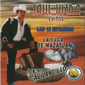 20 Exitos De Coleccion Las 12 Ectareas album cover