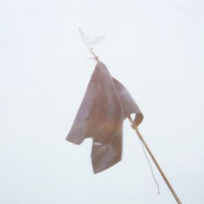 The Greeks (Single) album cover