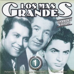 Los Mas Grandes Vol. 1 album cover