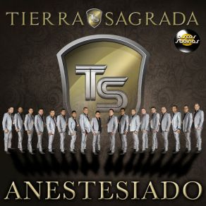 Anestesiado (Single) album cover