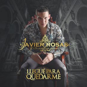 Llegué Para Quedarme album cover
