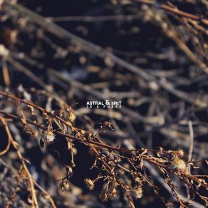 Is A Phase album cover