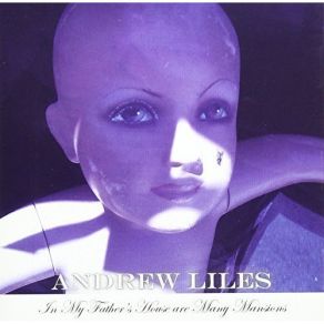 In My Father's House Are Many Mansions album cover