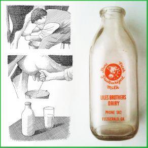 Milky Maidenhead (Single) album cover