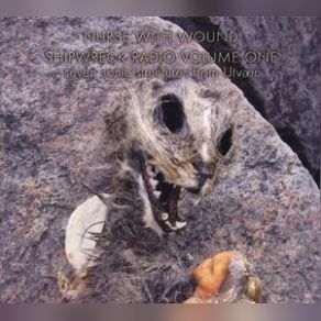 Shipwreck Radio Volume One (Seven Sonic Structures From Utvaer) (2xCD) album cover