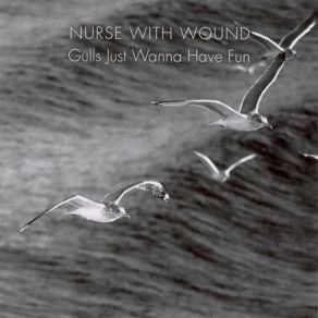 Gulls Just Wanna Have Fun album cover
