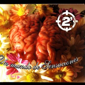 Un Mundo De Sensaciones album cover