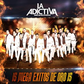 15 MEGA ÉXITOS DE ORO 15 album cover