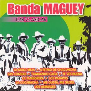 Las Clasicas album cover