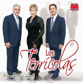 Me Muero Por Mirarte album cover