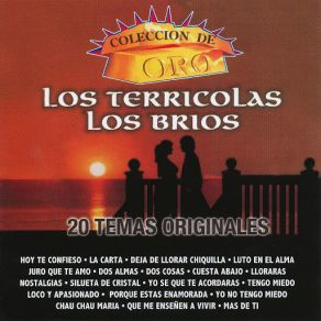 Colección De Oro - 20 Temas Originales album cover