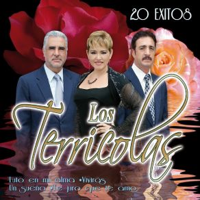 20 Exitos album cover