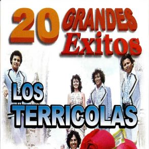 20 Grandes Exitos album cover