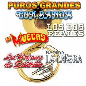 Puros Grandes Con Banda album cover