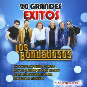 20 Grandes Exitos album cover