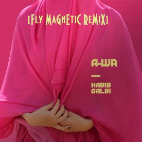 Habib Galbi (Fly Magnetic Remix) album cover