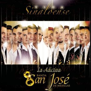 Vida Sinaloense album cover