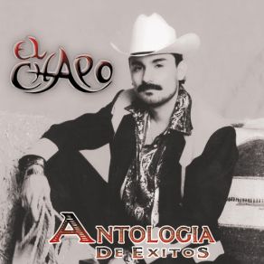 Antologia De Exitos album cover