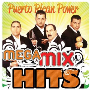 Mega MixHits album cover